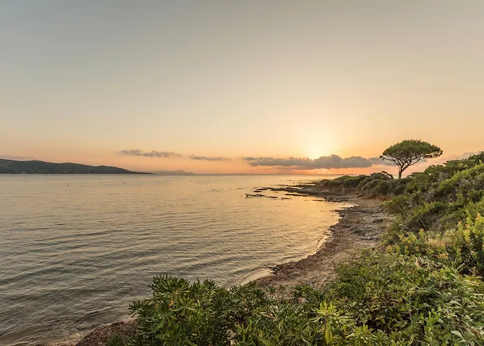 Apartmanhotel Pierre & Les Platanes