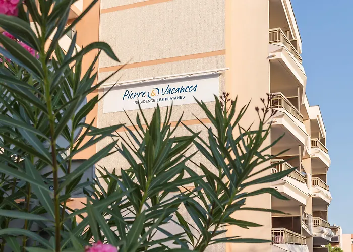 Pierre & Les Platanes 생트막시메